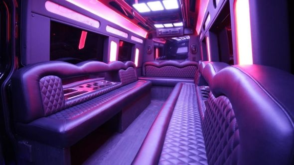 bayonne sprinter limo rental inside